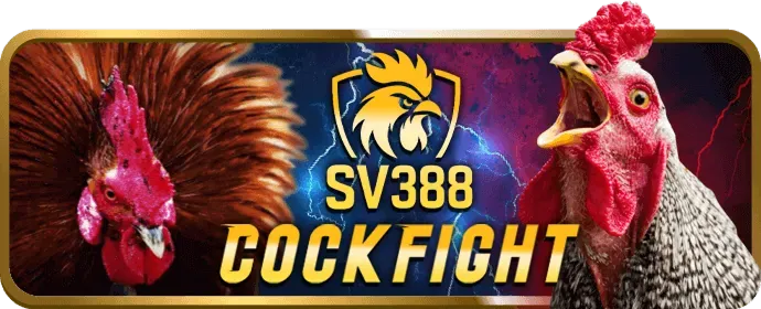 Cookie quảng cáo okvip1